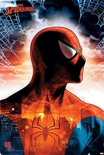 Spider-Man: Protector Of The City (Poster)