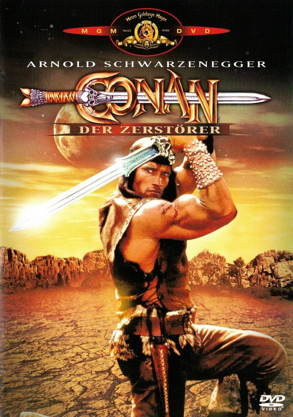 Conan, der Zerstörer (DVD - gebraucht: sehr gut)