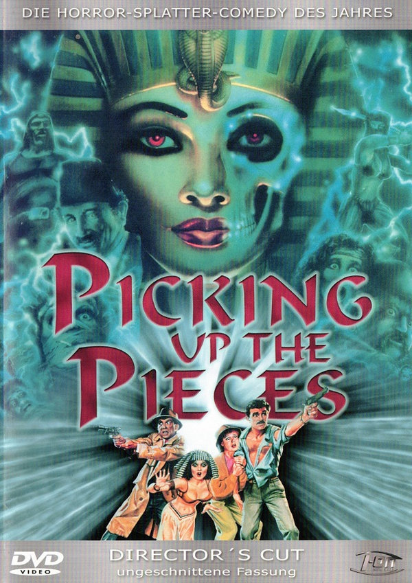Picking up the Pieces (DVD - gebraucht: sehr gut)